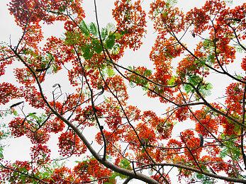 功夫冒险游戏《书雁传奇》9月22日登陆家用机平台