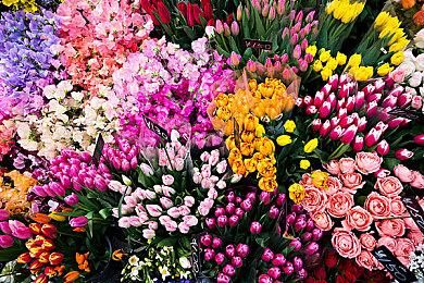 《天国：拯救2》新细节透露 游戏世界更栩栩如生